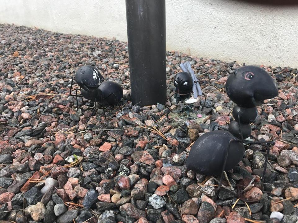 Villa Campari Virasoja Eksteriør billede