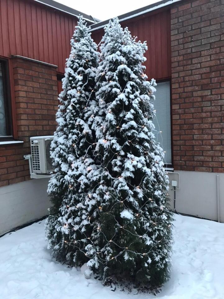 Villa Campari Virasoja Eksteriør billede